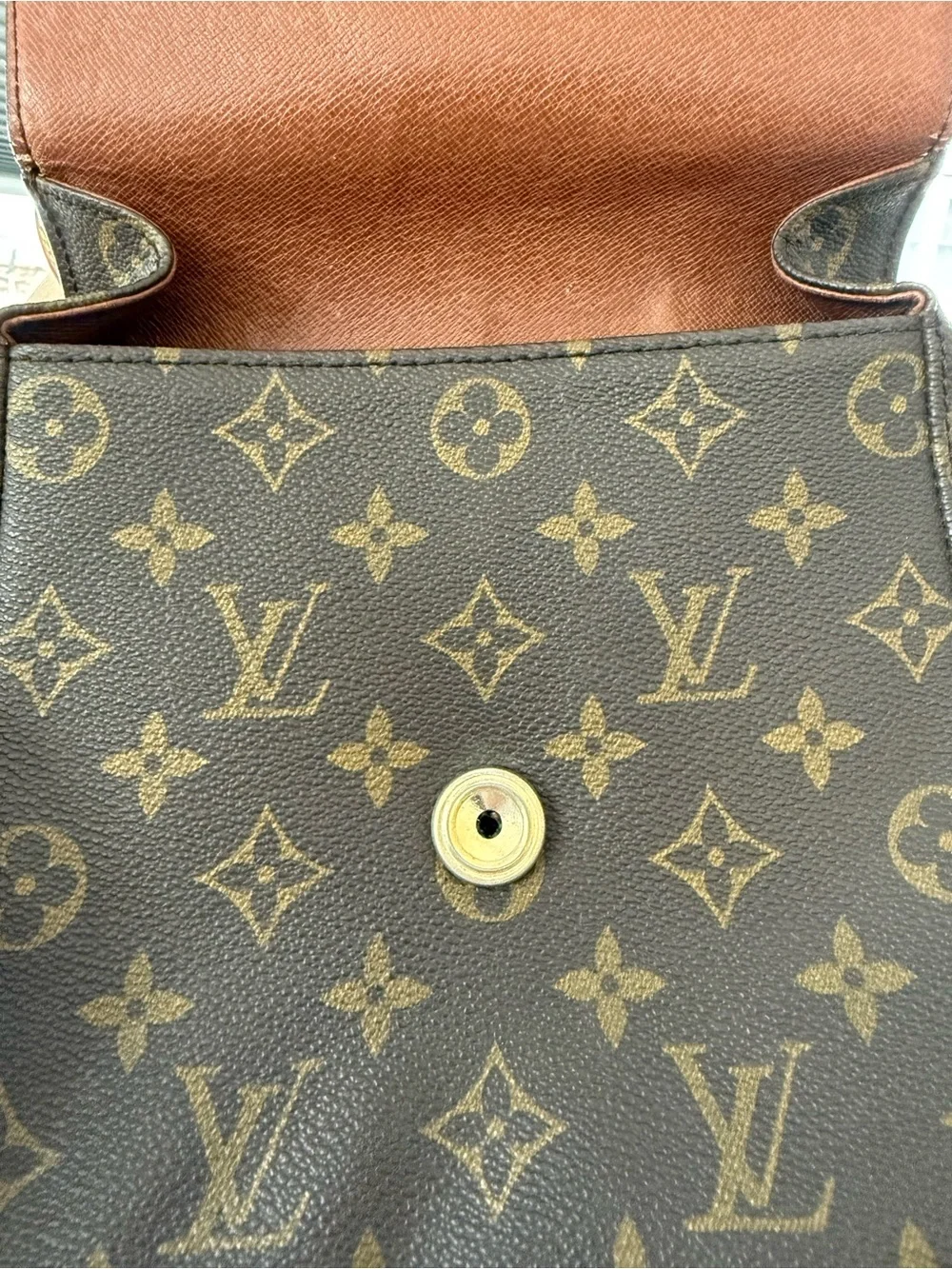Louis Vuitton iconic louis